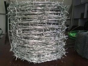 有刺的-電匯-優(yōu)良品質(zhì)從中國制造商